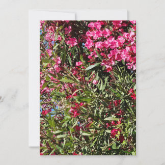 Rosa floral einladung