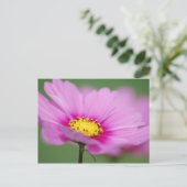 Rosa Floral Postkarte (Stehend Vorderseite)
