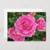 Rosa Floral Postkarte (Vorne/Hinten)