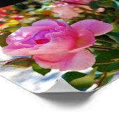Rosa Floral Rose Poster (Ecke)