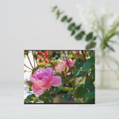 Rosa Floral Rose Postkarte (Stehend Vorderseite)