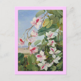 Rosa florale Frühlings-Party Dusche Frieden Liebe Postkarte