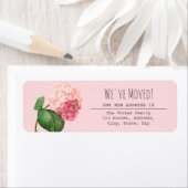 Rosa florale neue Adressenkennzeichnung (Insitu)