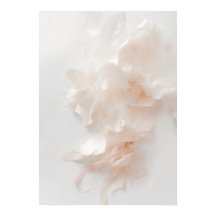 Rosa Florales abstraktes Kunstposter | Sanfte Blüt