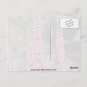 Rosa Forma (Veronica Longifolia) Blume Postkarte (Rückseite)