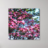 Rosa Foto Leinwanddruck (Vorderseite)