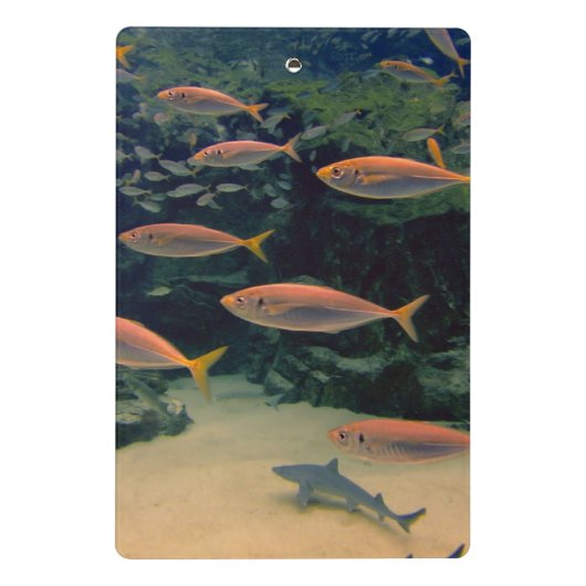 Rosa Foto Mini Klemmbrett (Rückseite)