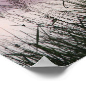 Rosa Foto Piazza della Riforma Poster (Ecke)