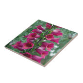 Rosa Foxglove-Blume Fliese (Seite)