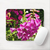 Rosa Foxglove-Blume Mousepad (Mit Mouse)