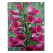 Rosa Foxglove-Blume Notizblock (Vorderseite)