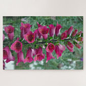 Rosa Foxglove-Blume Puzzle (Horizontal)