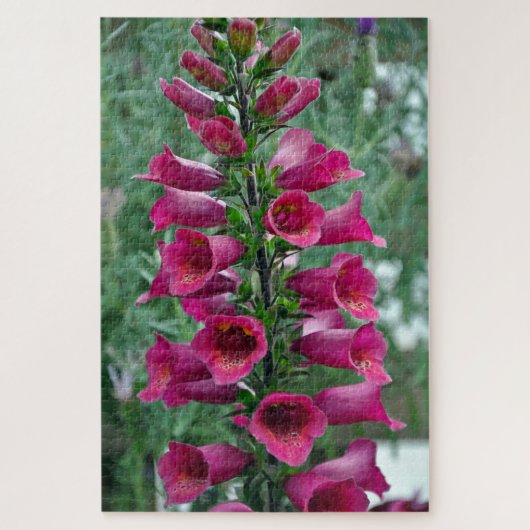 Rosa Foxglove-Blume Puzzle (Vertikal)