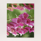 Rosa Foxglove-Blume Puzzle (Vertikal)