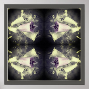 Rosa Foxglove Blume Schwarz-Weiß Abstrakt Poster