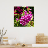 Rosa Foxglove Poster (Küche)