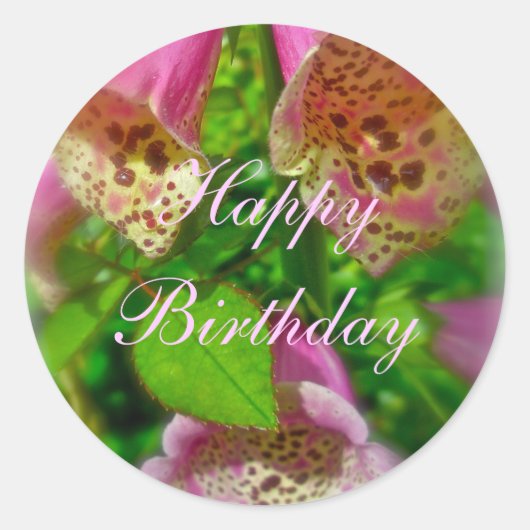 Rosa Foxhandschuhe Happy Birthday Sticker (Vorderseite)