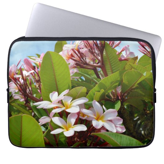 Rosa Frangipani-Baum, Laptop-Sieb Laptopschutzhülle (Vorderseite)