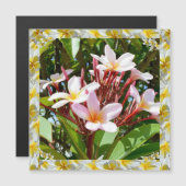 Rosa Frangipani-Baum mit gelber Frangipani-Kante, Magnetkarte (Vorne/Hinten)