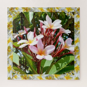 Rosa Frangipani-Baum mit gelber Frangipani-Kante, Puzzle
