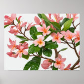Rosa Frangipani-Blume Poster (Vorne)