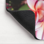 Rosa Frangipani-Blumen Mousepad (Ecke)