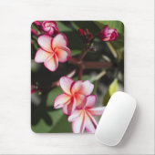 Rosa Frangipani-Blumen Mousepad (Mit Mouse)