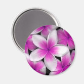 Rosa Frangipani Magnet (Vorderseite/Rückseite)