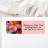 Rosa Frangipani Plumeria Tropische Blume (Insitu)