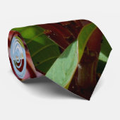 Rosa Frangipani Tree Krawatte (Gerollt)