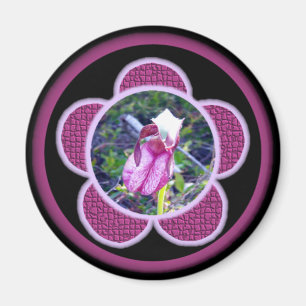 Rosa Frauenschuh 2 Magnet