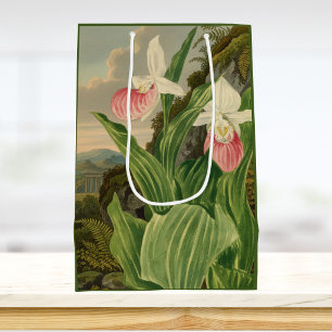 Rosa Frauenschuh alte botanische Orchidee Mittlere Geschenktüte