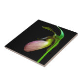 rosa Frauenschuh Fliese (Seite)