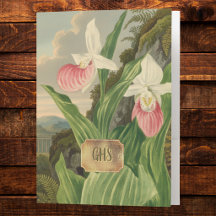 Rosa Frauenschuh Vintage Florale Orchidee Monogram