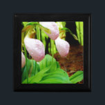 Rosa Frauenschuh wilde Orchidee Schmuckschachtel<br><div class="desc">Rosa Frauenschuh wildes Orchideen-Foto durch Sandy Closs,  genommen an der See-Pfeilspitze GA. Hellrosa Pantoffelform mit dunkleren rosa Adern. Found wachsend wild im Holz,  unter irgendeine der rosa hochzeitsnatur-Beileidsfrühlings-WaldRose Blumenorchideen der Kiefernbäume Blumenblumen</div>