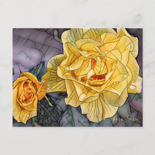 Rosa Friesia [Postcard] Postkarte (Vorderseite)