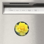 Rosa Friesia:Round Magnet (In Situ (Geschirrspüler))