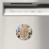 Rosa Frühling blüht Blumen-Magnet Magnet (In Situ (Geschirrspüler))