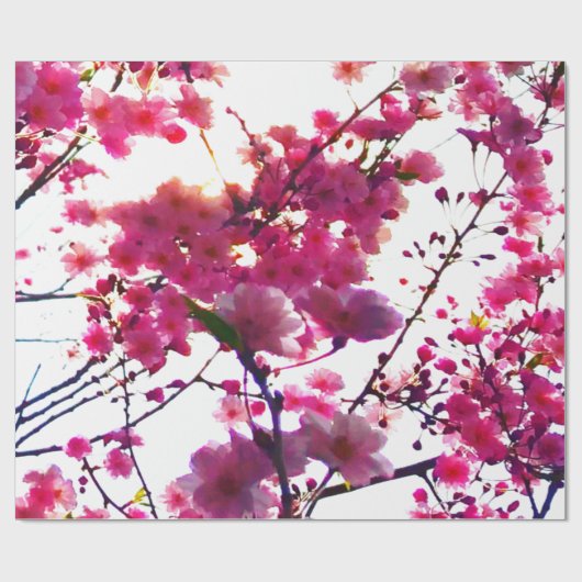 Rosa Frühling | Blütenbaum Geschenkpapier (Flach)