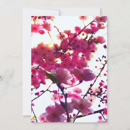 Rosa Frühling | Blütenbaum Save The Date (Rückseite)