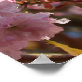 Rosa Frühlings-Kirschblüte Poster (Ecke)