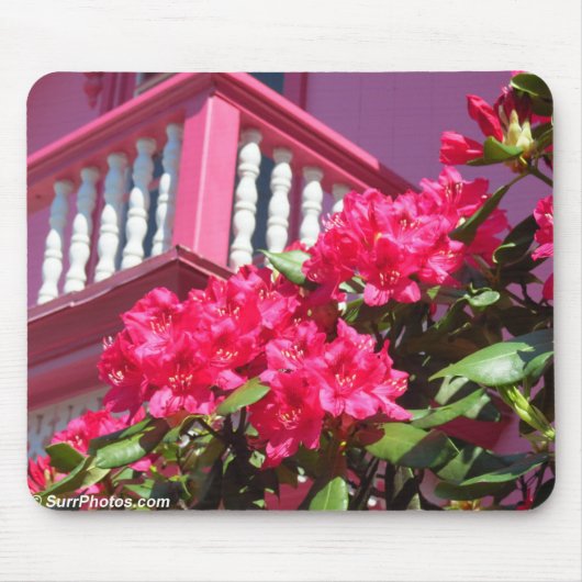 Rosa Frühlingsbalkon - Martha's Vineyard Mousepad (Vorne)