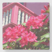 Rosa Frühlingsbalkon - Martha's Vineyard Steinuntersetzer (Vorderseite)