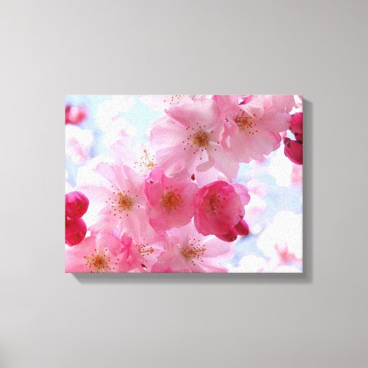 Rosa Frühlingsblüte Leinwanddruck (Vorderseite)