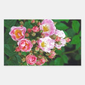 Rosa Frühlingsblüte Rose Rechteckiger Aufkleber (Vorderseite)