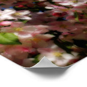 Rosa Frühlingsblüten Blauer Himmel Orton Effekt Poster (Ecke)