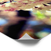 Rosa Frühlingsblüten Blume 3 Nah Poster (Ecke)