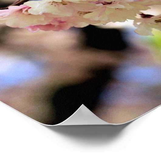 Rosa Frühlingsblüten Blume 3 Poster (Ecke)