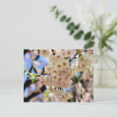 Rosa Frühlingsblüten Blume Postkarte (Stehend Vorderseite)