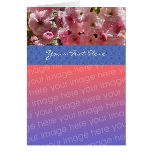 Rosa Frühlingsblüten Blütenfotokarte